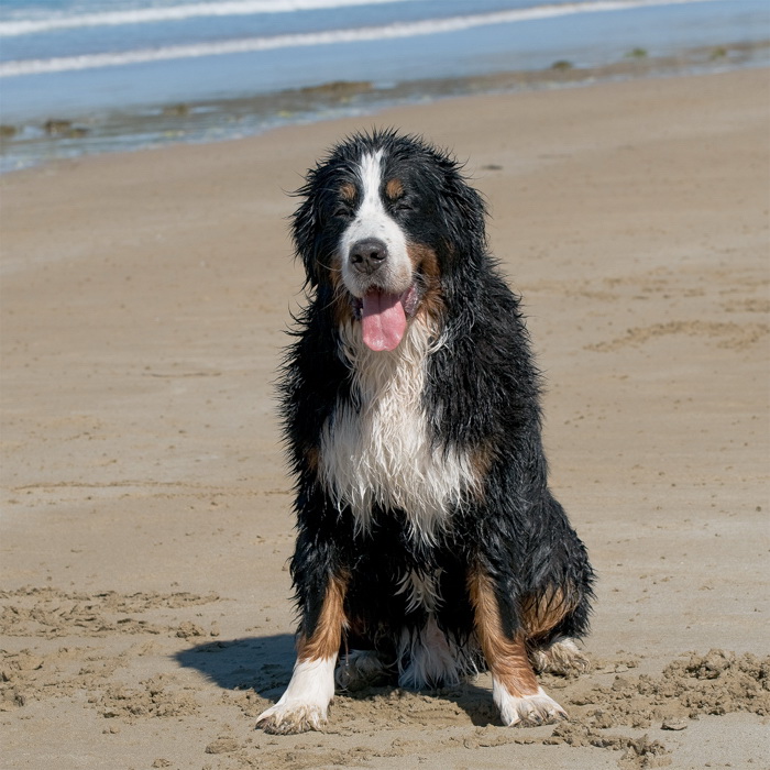 Status duplizieren Kopie.jpg